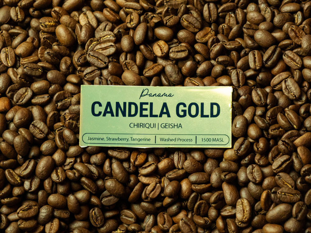 Candela Gold (Washed)