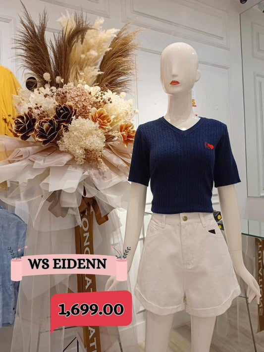 WS EIDENN